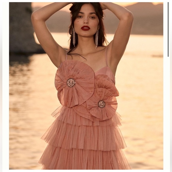 Anthropologie Kavita Bhartia Rosette Tiered Tulle Gown - Picture 3 of 8